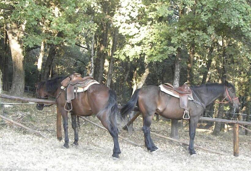 בית מלון כפרי Villa Enrico Fermi