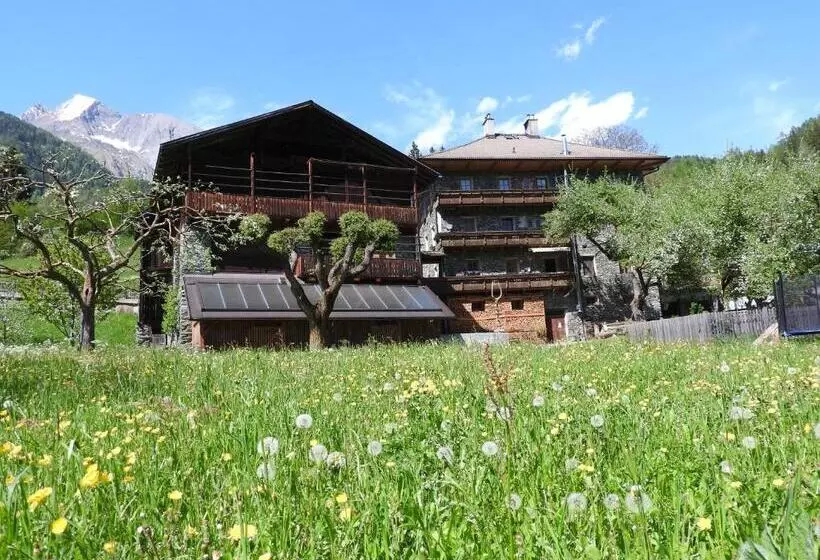 ペンション Gästehaus Taner