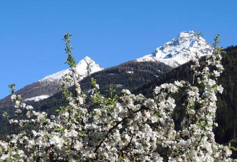 Пансион Gästehaus Taner
