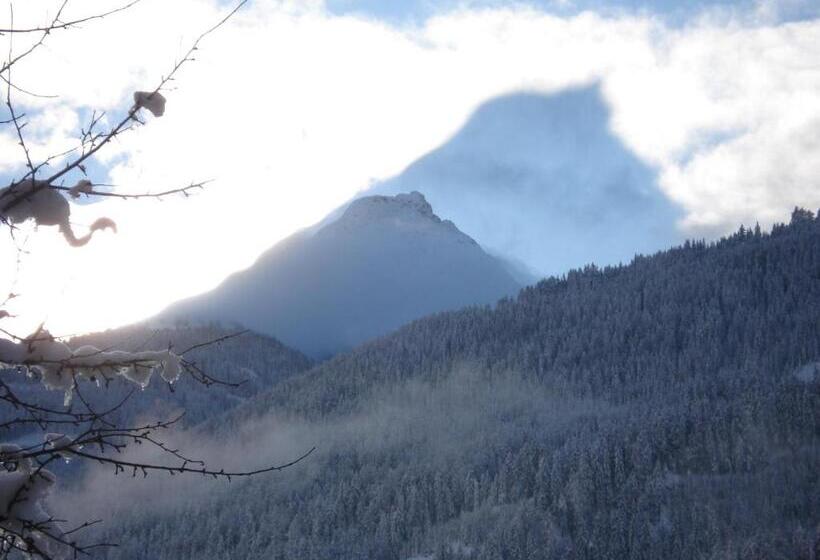 Пансион Gästehaus Taner