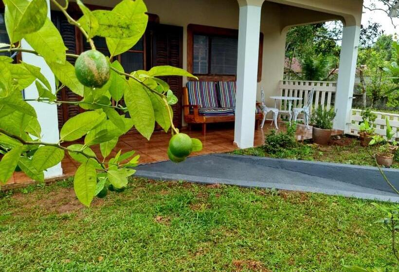 ペンション Lara S House