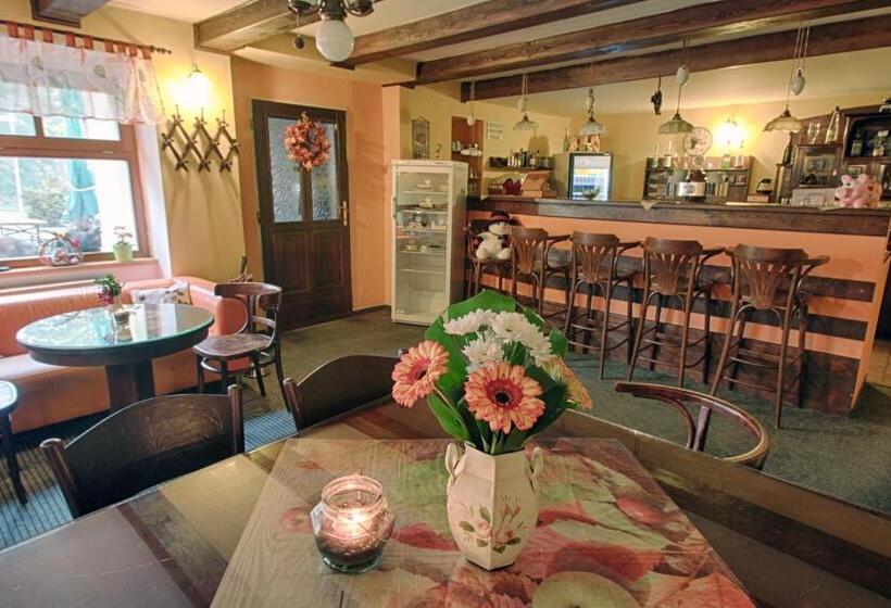 ペンション Penzion U Sněhulaka