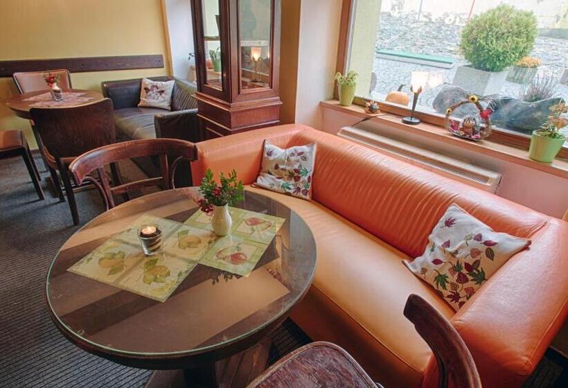 ペンション Penzion U Sněhulaka