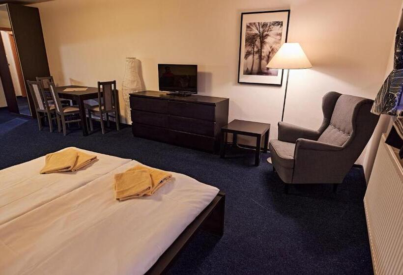 ペンション Penzion U Sněhulaka