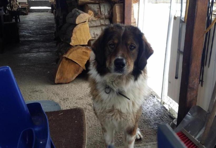 Пансион Rosenville