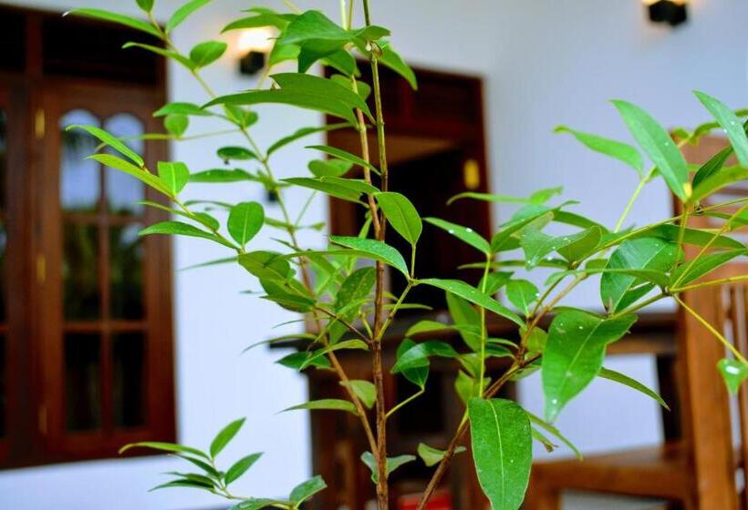 بنسيون Wayside Mirissa