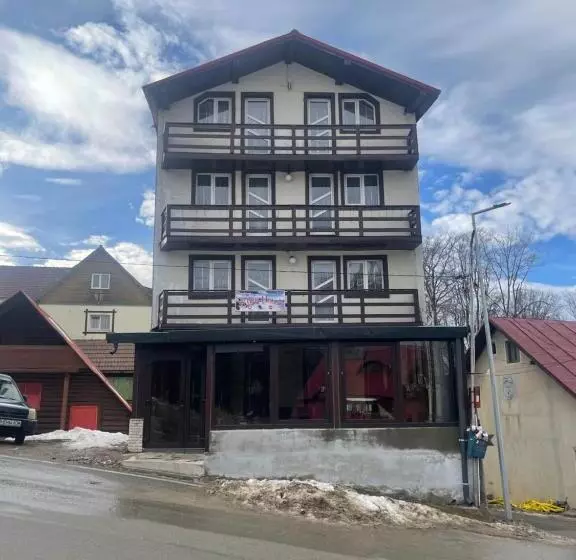 Pensiunea White House