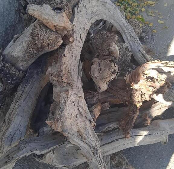 Hotel Auberge Cascade