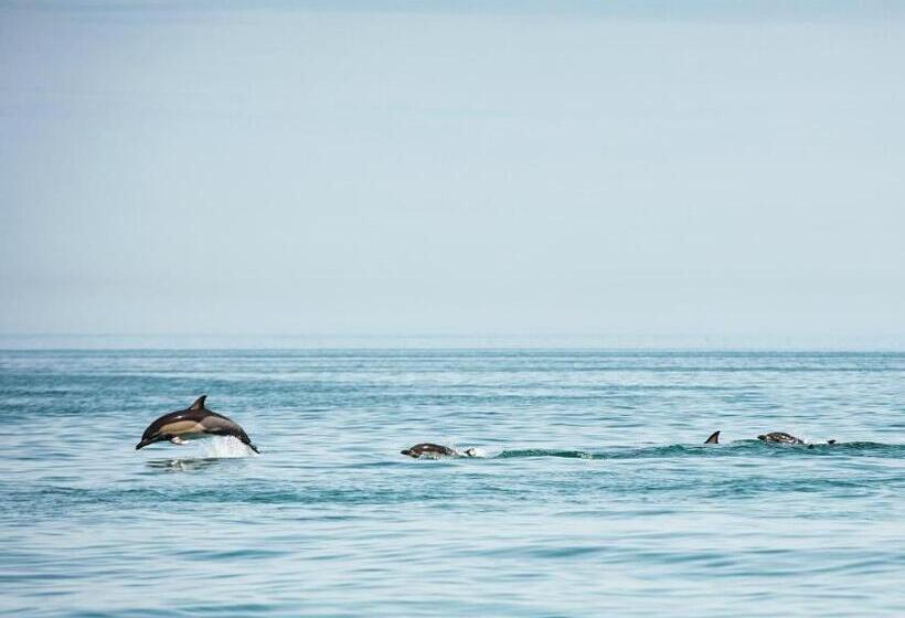 Orbi City Hotel Batumi
