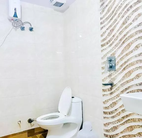 Hotelli Flagship Green High Near Laxmi Nagar Metro Station