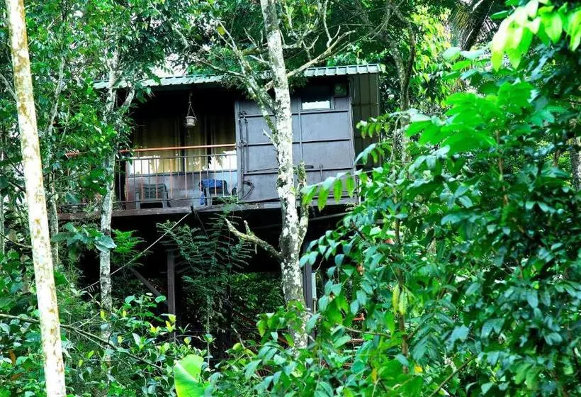 Hotelli The Wayside Tree House And Private Villas