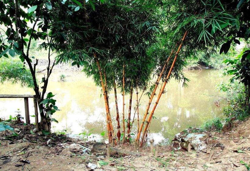 Hotel The Wayside Tree House And Private Villas