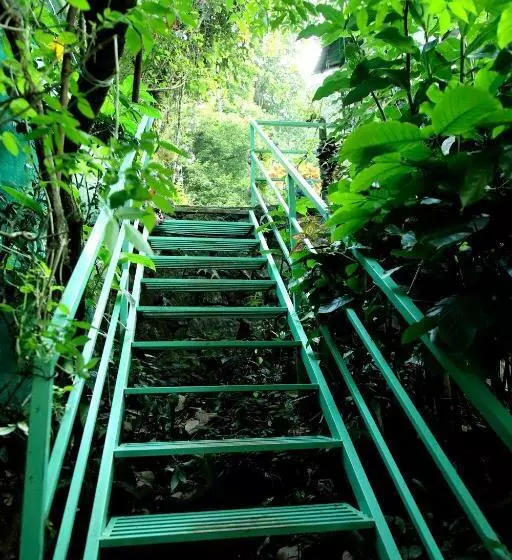 Hotelli The Wayside Tree House And Private Villas