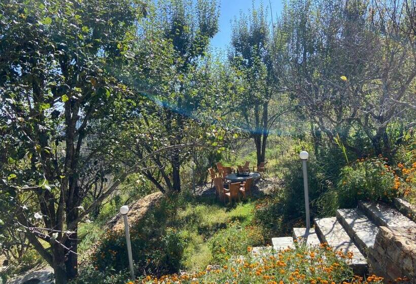 Shree Parijat Resort At Mukteshwar Hill Station With Himalayan View