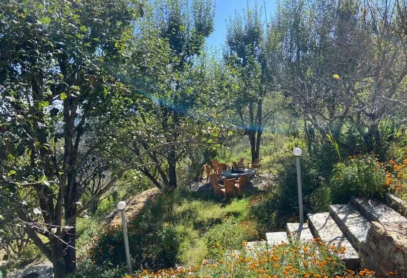 Shree Parijat Resort At Mukteshwar Hill Station With Himalayan View