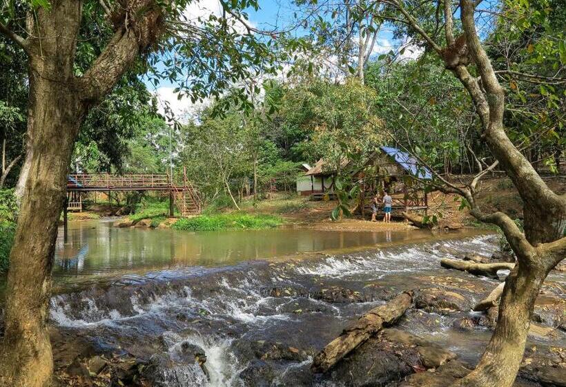 Backpacker Hostel And Jungle Trekking