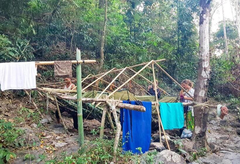 Backpacker Hostel And Jungle Trekking