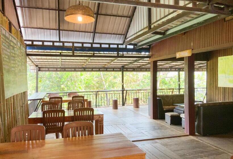 Backpacker Hostel And Jungle Trekking