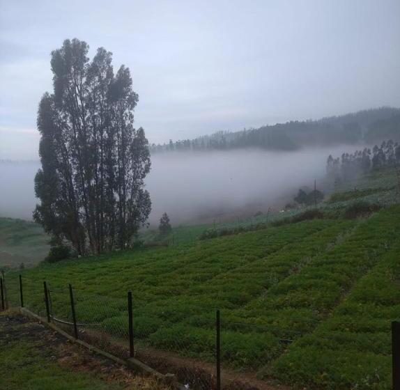 ベッドアンドブレックファースト Wooden Springs By Brown Tree Resort