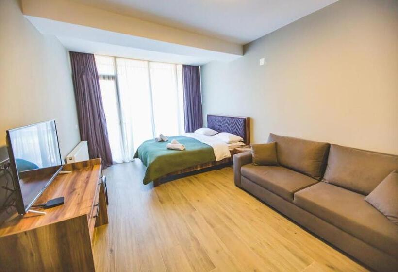 Didveli Gallery A205