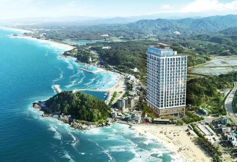 ホテル Surf Resort Jd Yangyang