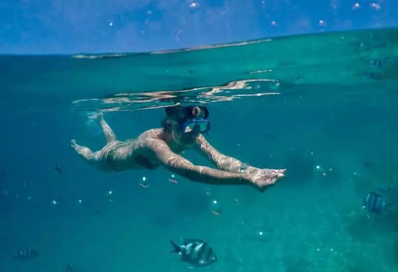 Hotelli S@fe Landing Lodge