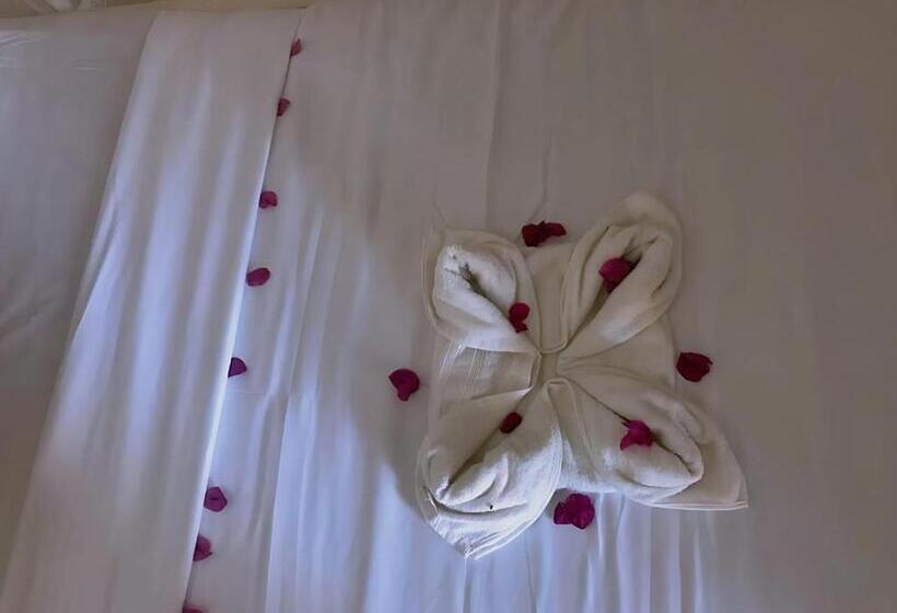 Отель Zanz 14 Beach Bungalows