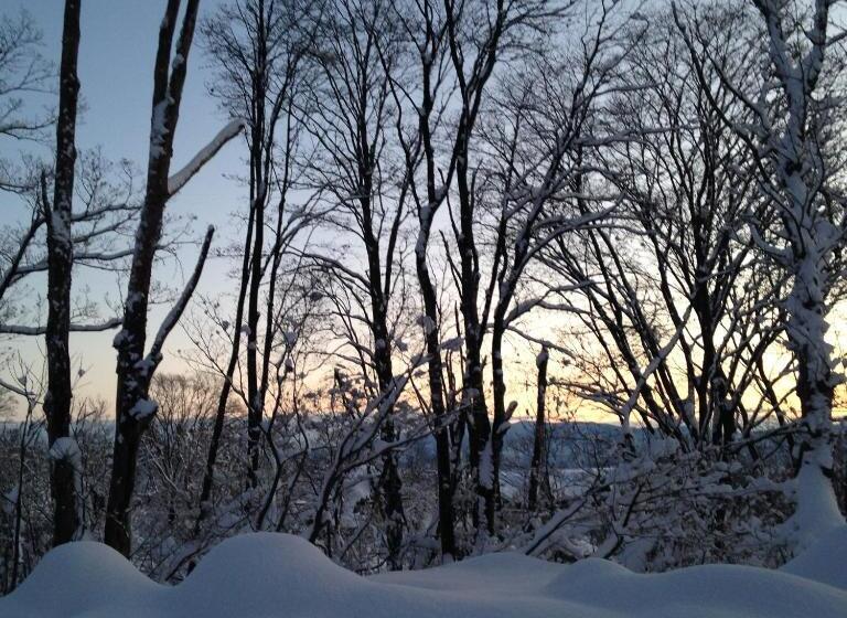 פנסיון A Short Walk To Akakura Onsen Ski Lift And Town By Japow House