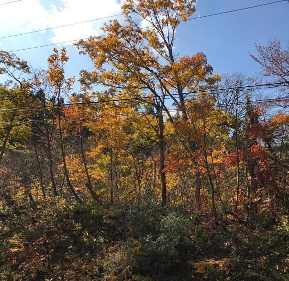 פנסיון A Short Walk To Akakura Onsen Ski Lift And Town By Japow House