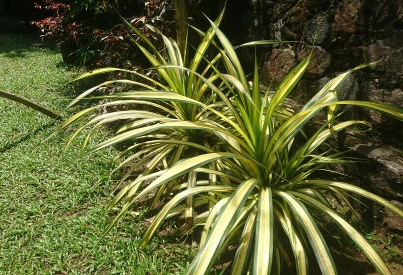 Pensão Villa Manu Hikkaduwa