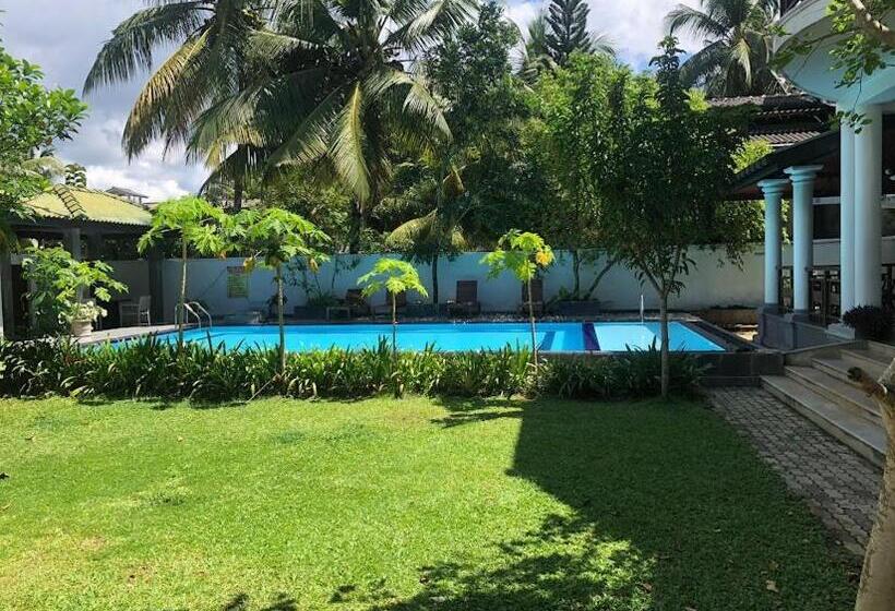 بنسيون The Calm Of8