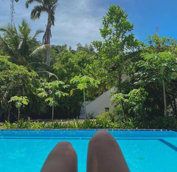 بنسيون The Calm Of8