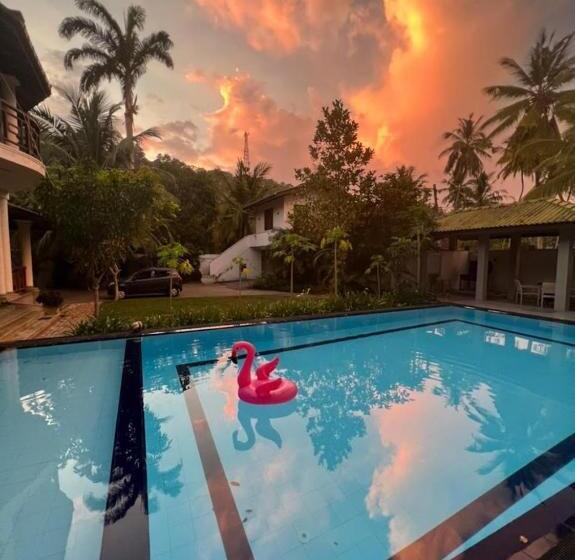 بنسيون The Calm Of8