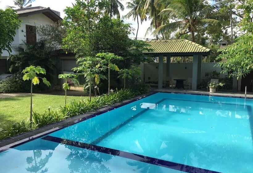 بنسيون The Calm Of8