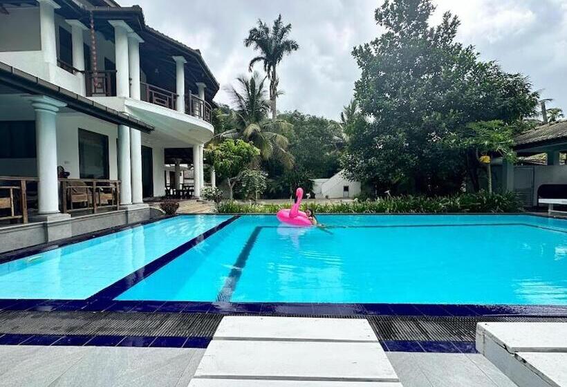 بنسيون The Calm Of8