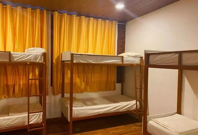 ユースホステル Samba Stay   Home Away From Home