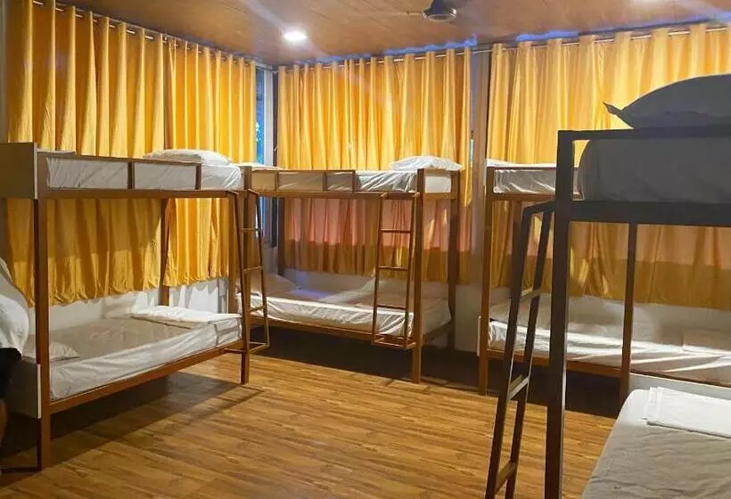 ユースホステル Samba Stay   Home Away From Home