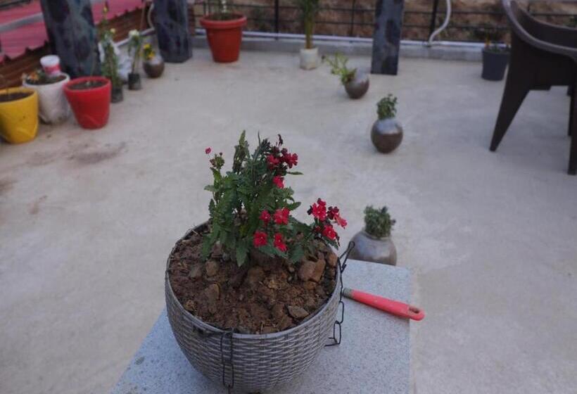 צימר Backwoods Suites Shimla