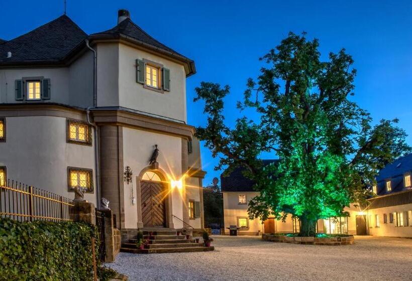 Bed and Breakfast Schloß Falkenhaus