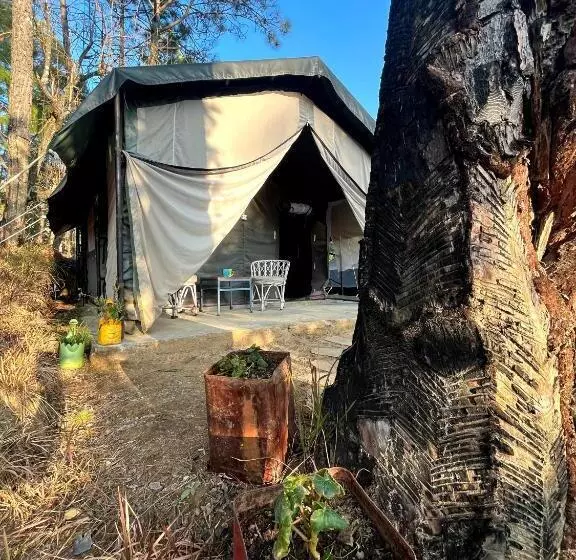 Hotelli Glampinn Woods