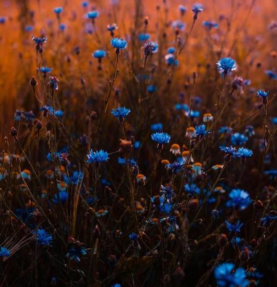 Hotel Location De Hote