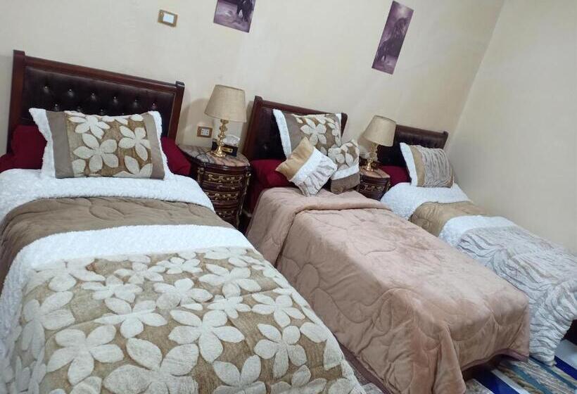 پانسیون Amon Pyramids Inn