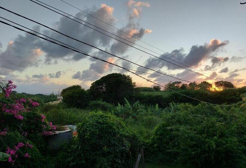 پانسیون La Jéméli