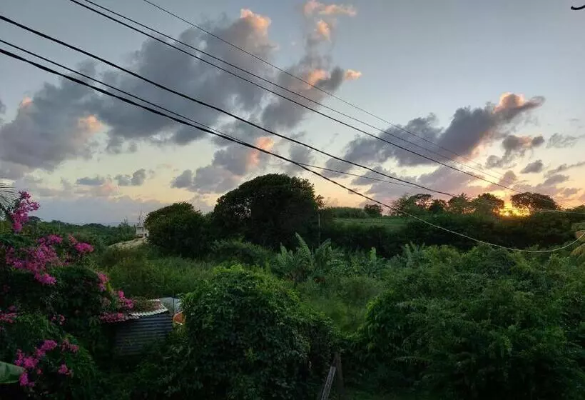 پانسیون La Jéméli