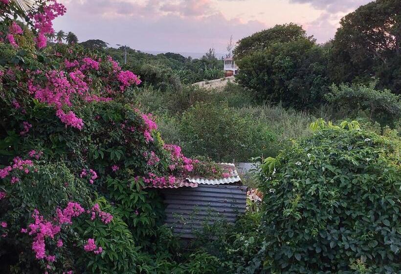 پانسیون La Jéméli