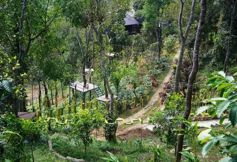 Hotelli Blanket Days Resort And Spa