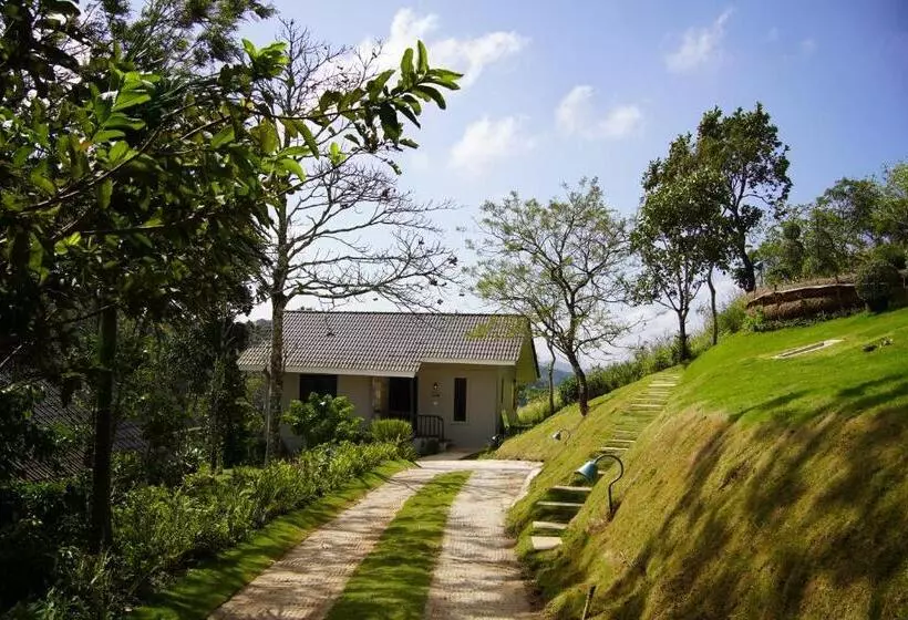 Hotelli Blanket Days Resort And Spa