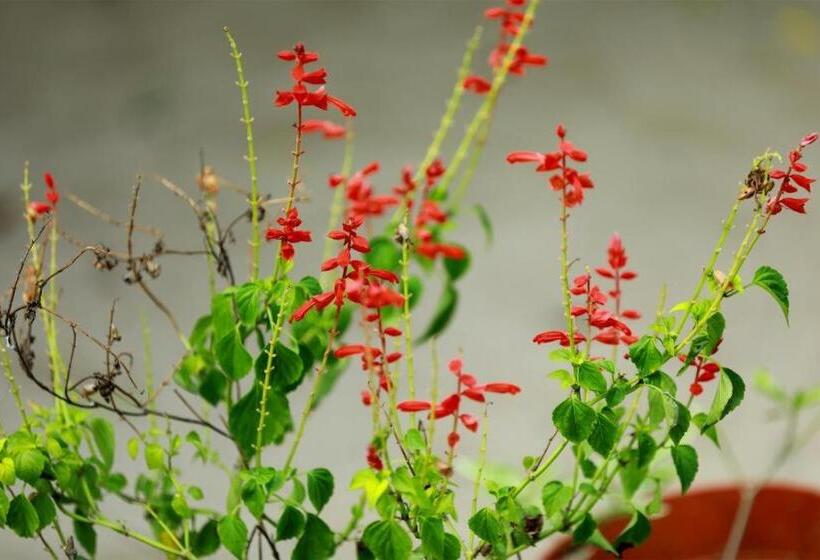 펜션 Marari Beatles