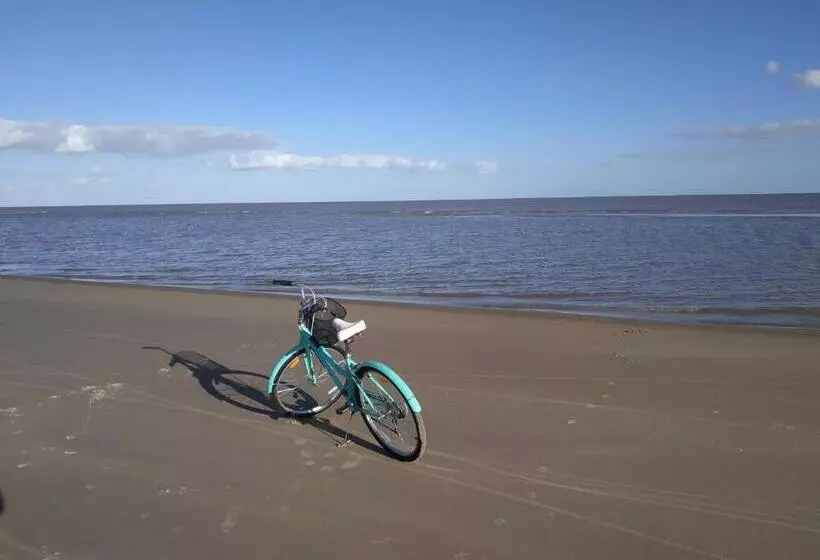 Techos Amarillos Apart