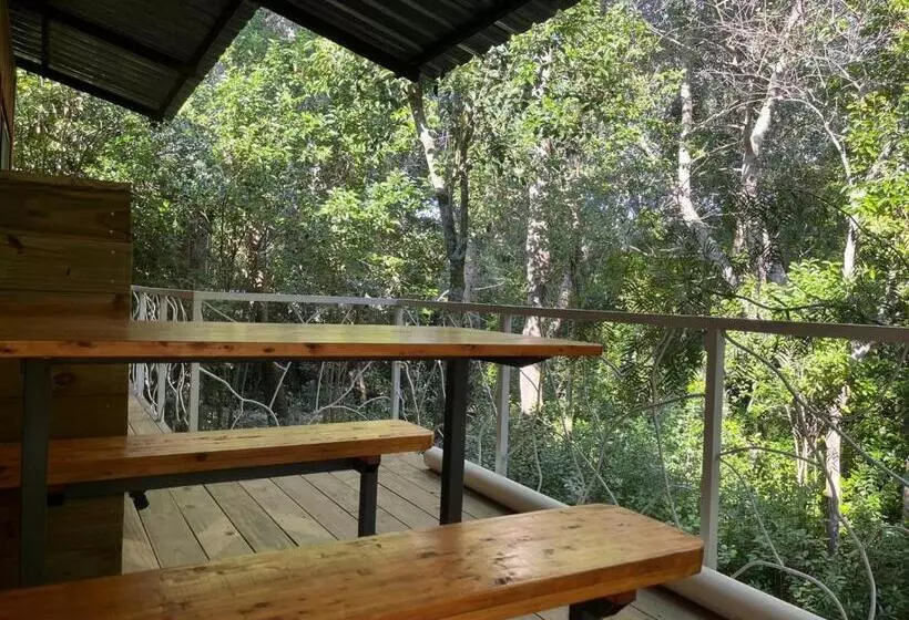 Techos Amarillos Apart